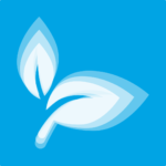 Two soft white leaves on a blue background, representing natural skin rejuvenation