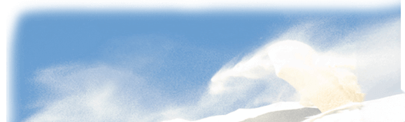 Blue sky and beach background, symbolising freedom and vitality after pelvic floor therapy